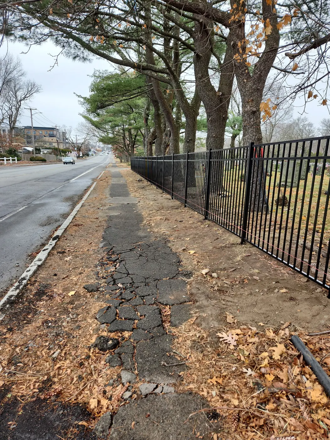 Long straight run of black aluminum fencing beside a road