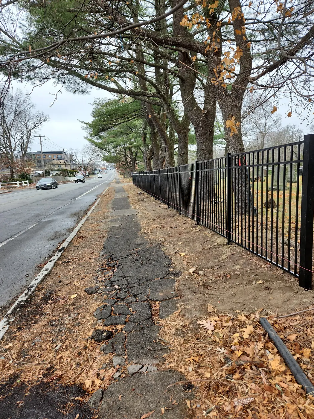 Black aluminum fence installed beneath mature roadside trees