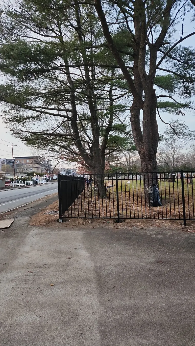 Black aluminum fence turning a corner around mature trees