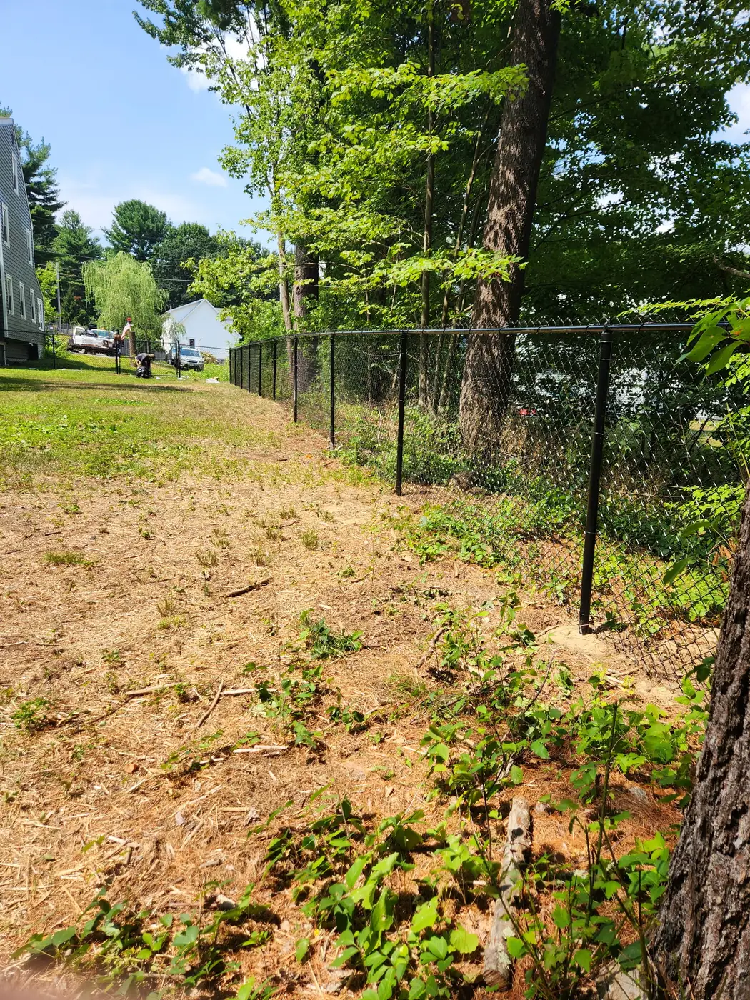 Black chain-link fence line installed along a sunny residential property edge