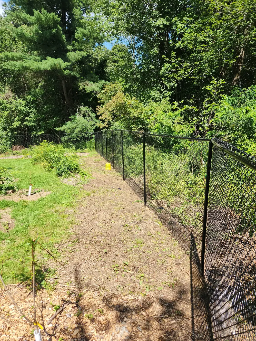Black chain-link fence protecting a backyard garden