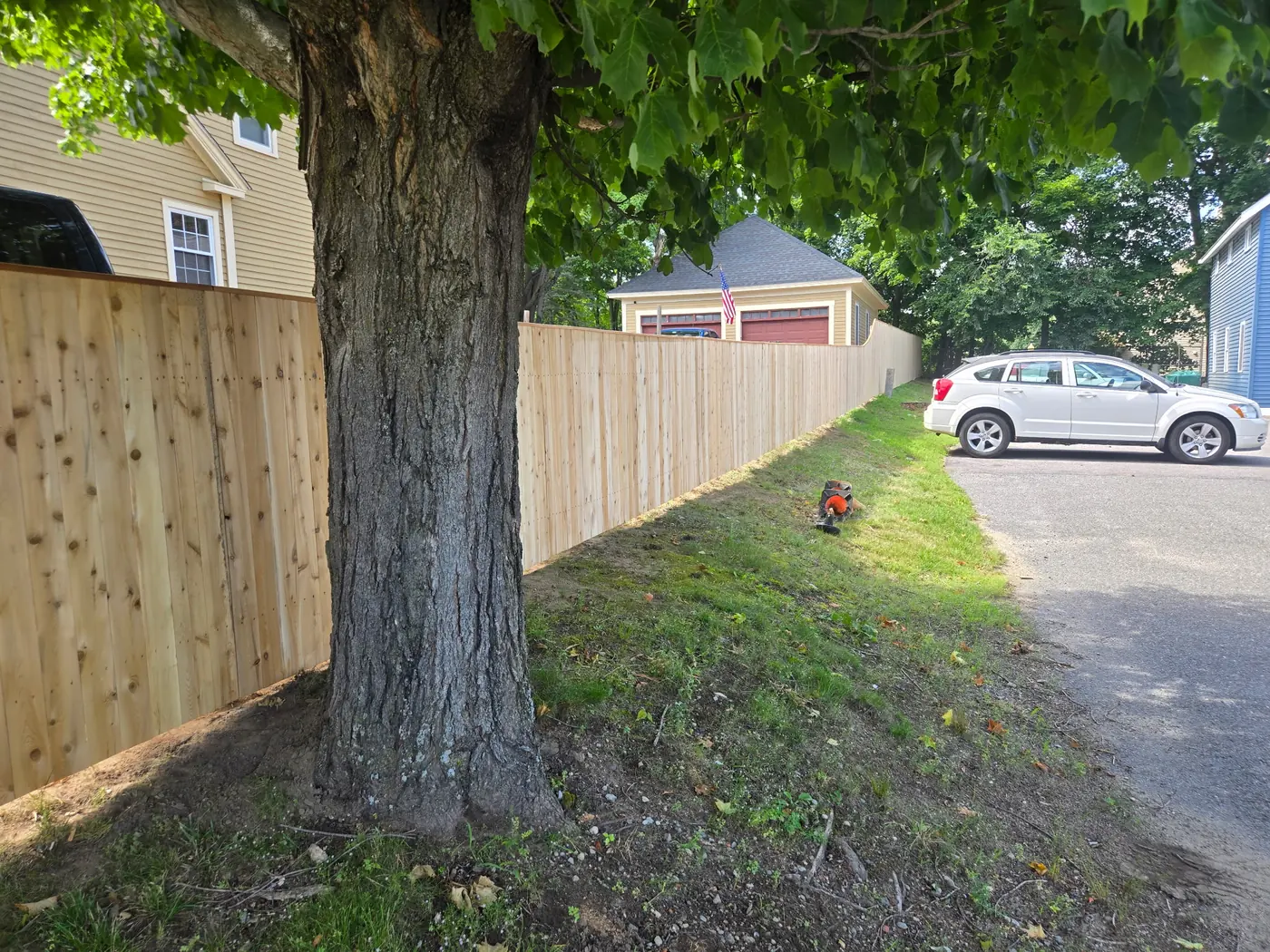 Cedar privacy fence carefully installed around a mature tree